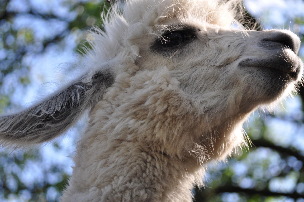 天亚娱乐,注册|代理注册材料公司