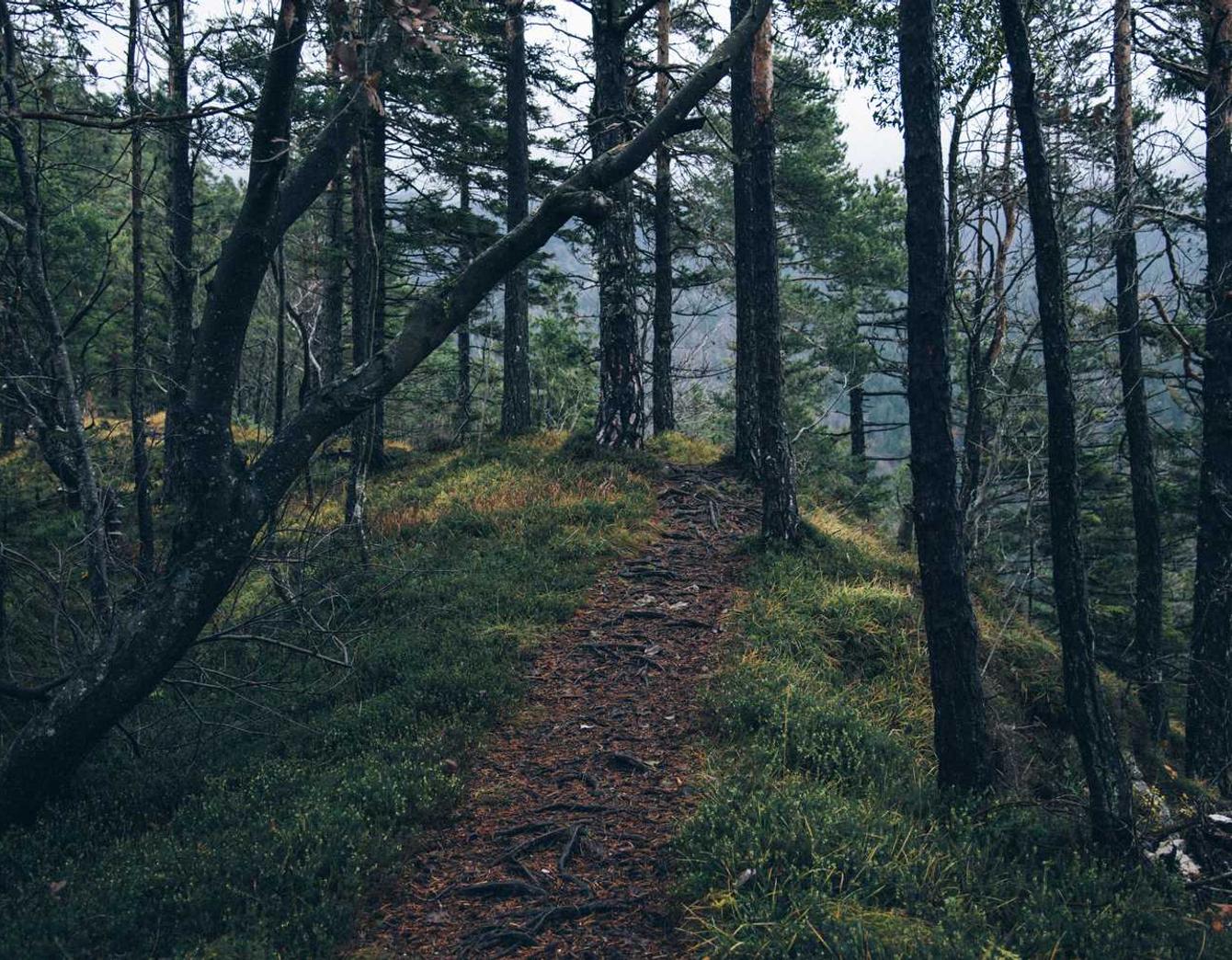 实名手机卡出售：果匀app详情下载教程