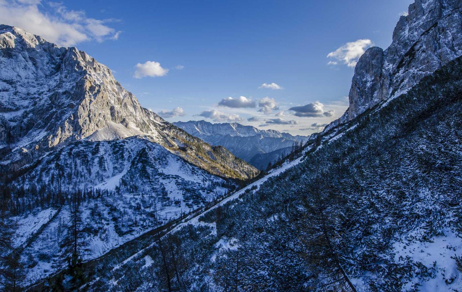 香烟品牌选择和消费者行为的关系