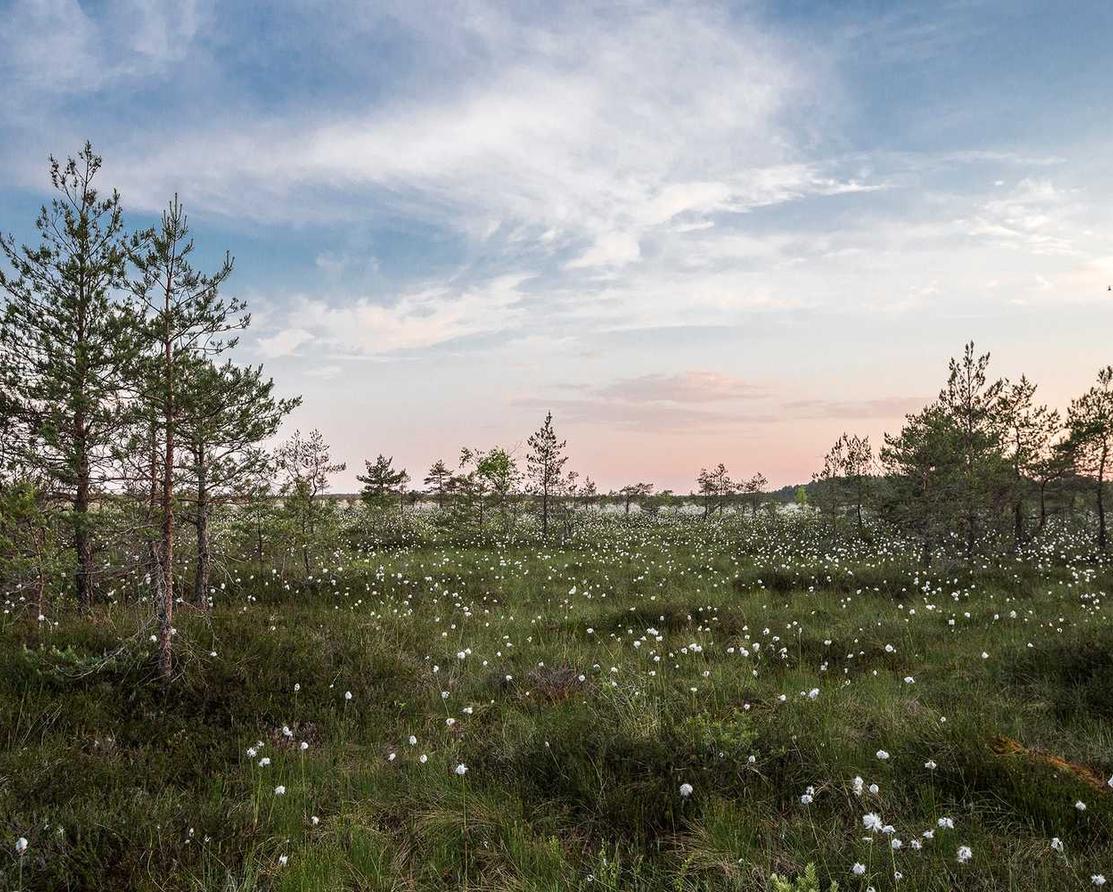 新绿色征途：详情下载教程神秘顾客APP