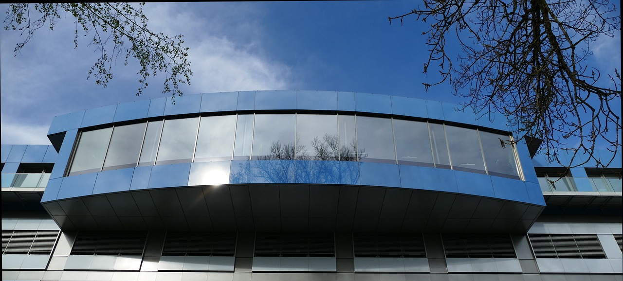 欧迪2品牌建设与行销的协同