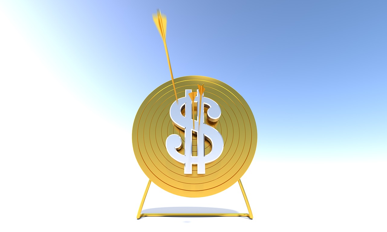 技术支持辅助的开发者会面临什么样的处罚？